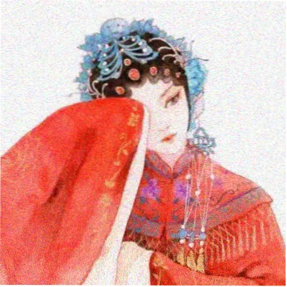 读者阿树头像